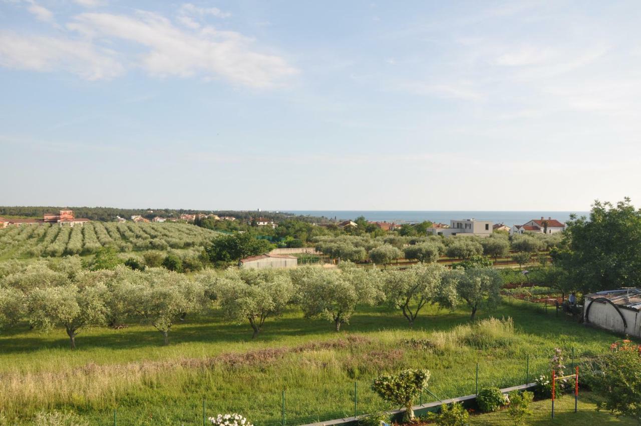 Apartments Rosa Umag Zewnętrze zdjęcie
