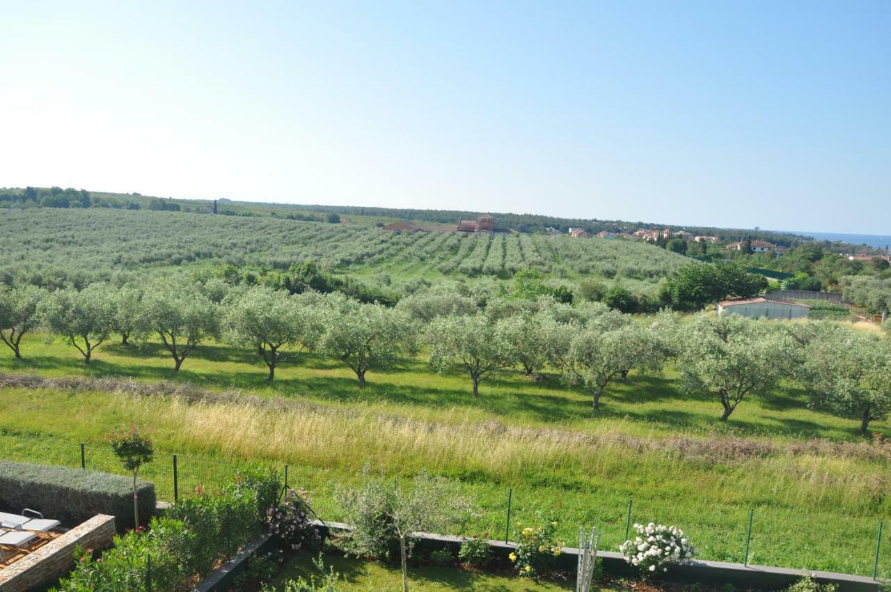 Apartments Rosa Umag Zewnętrze zdjęcie